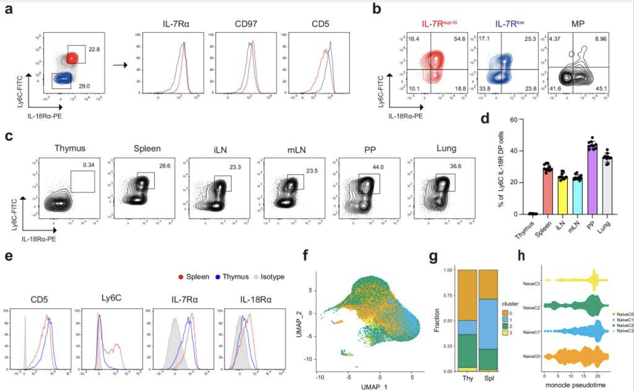 Immune Dynamics and Determinants of Response in Window of Opportunity Trials